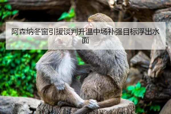阿森纳冬窗引援谈判升温中场补强目标浮出水面